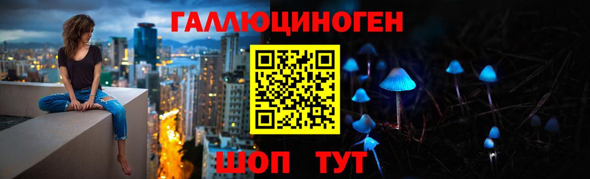 Псилоцибиновые грибы мухоморы  закладка  Комсомольск-на-Амуре  Вход с VPN 